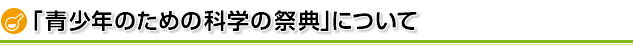 「青少年のための科学の祭典」について
